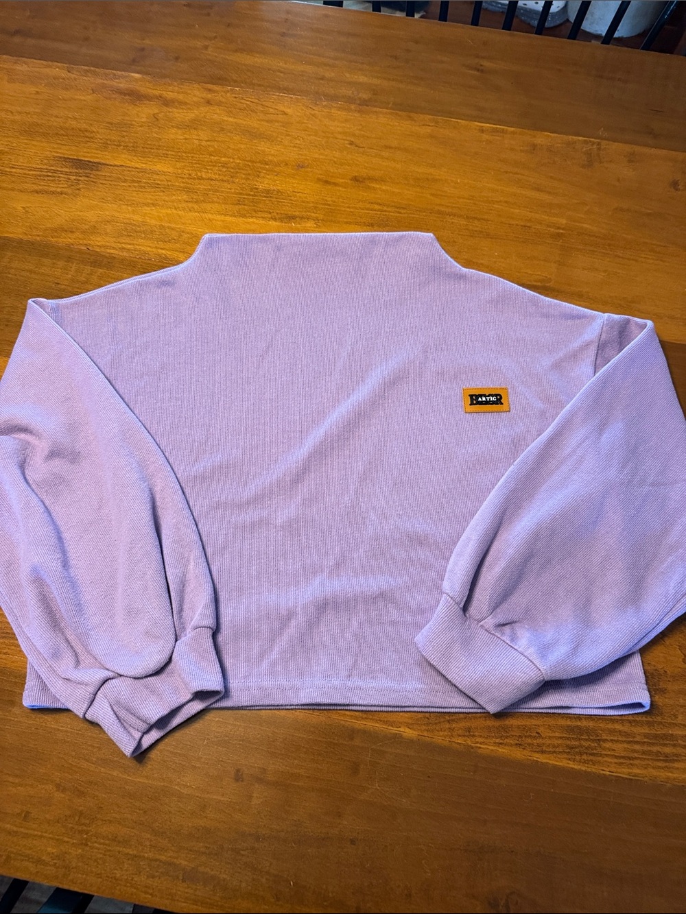 BESR artic cropped top